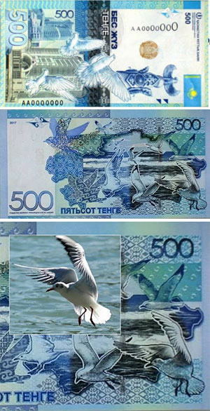       500-  -     
