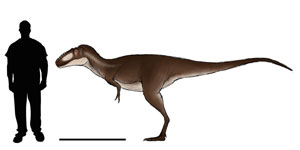       - Asiatyrannus xui