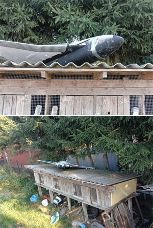 ����� � ������: ����� ������� ��� � ����� ����������, - ����� �������